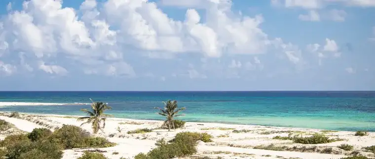 Cozumel