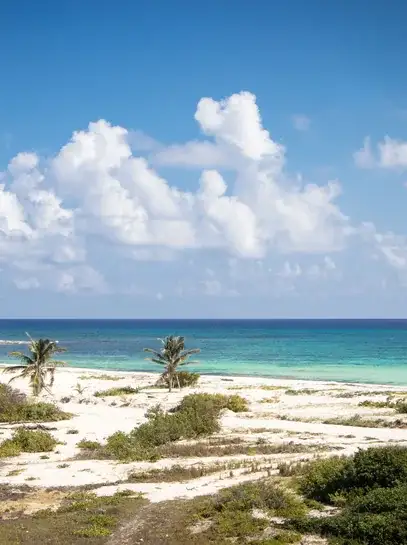 Ferry y arrecife de Cozumel — traslado privado del Aeropuerto de Cancún a la terminal del ferry