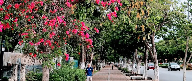 Mérida
